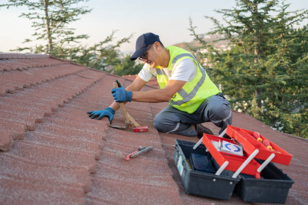 Roof Gutter Cleaning in Lolo, MT
